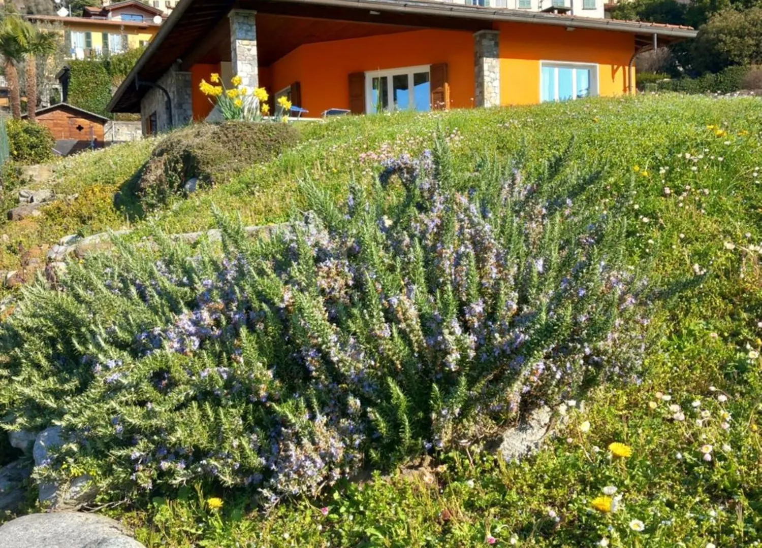Villa Idea Lenno